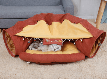 Cat exploring the Feline Funhouse Interactive Tunnel by Dog Hugs Cat