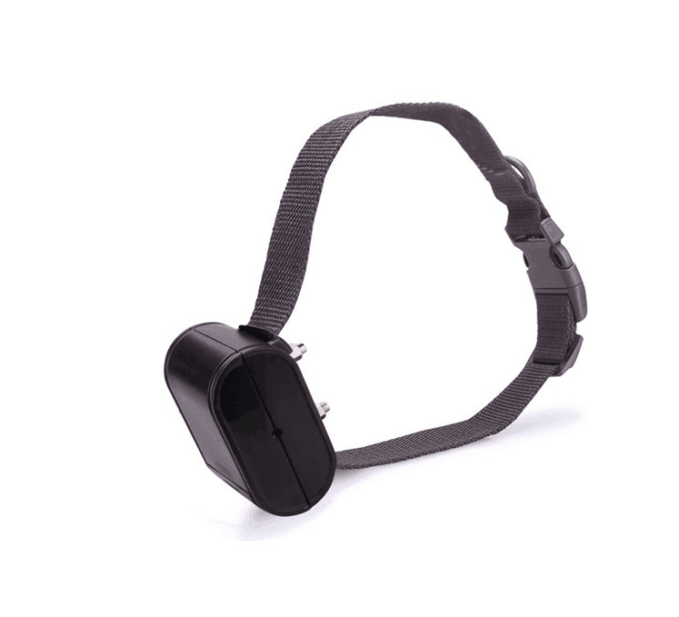 Front view of Ultimate Freedom Pet Containment System by Dog Hugs Cat