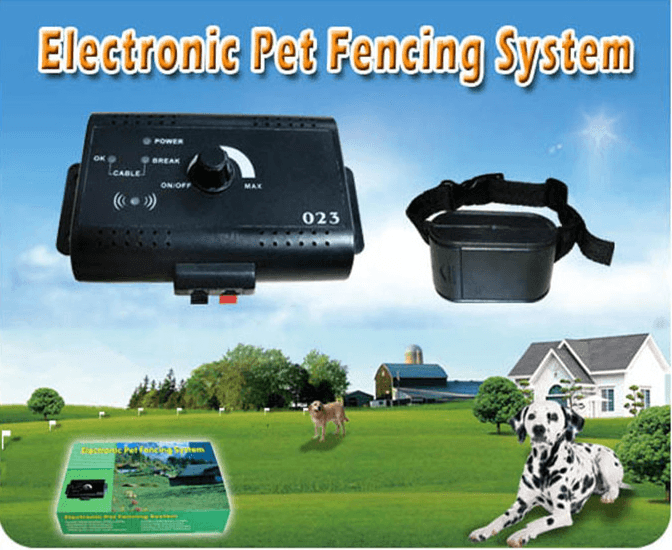 Pet enjoying freedom with the Ultimate Freedom Pet Containment System