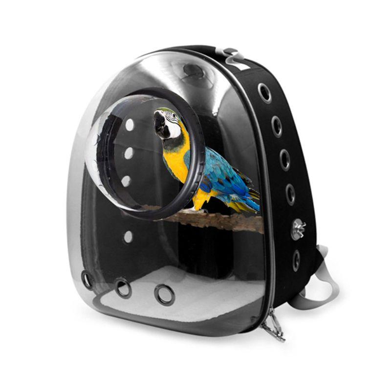 Interior view of Stylish Portable Parrot Adventure Backpack with spacious design