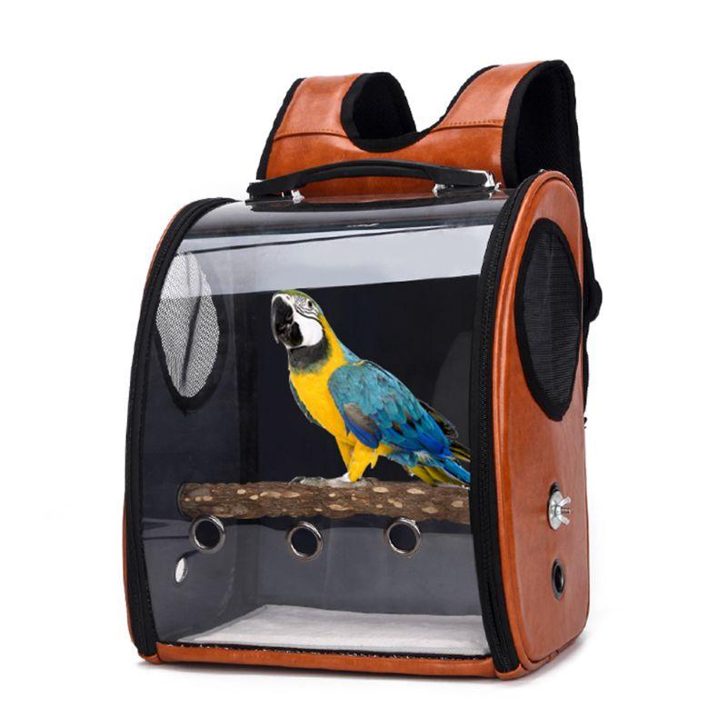Bird Carrier with parrot inside, demonstrating comfort and safety