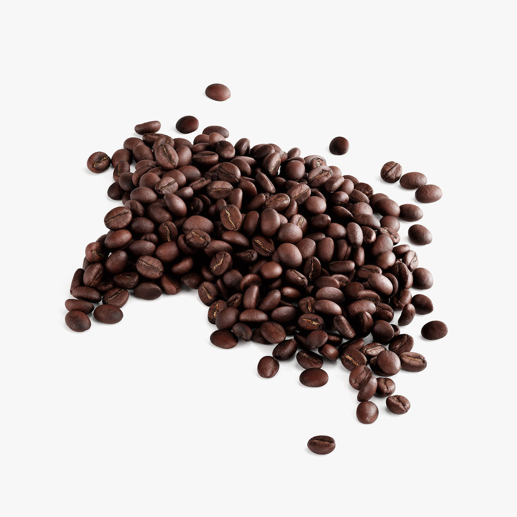 Scoop of Maple Grove Medium Roast Coffee beans by Solikka