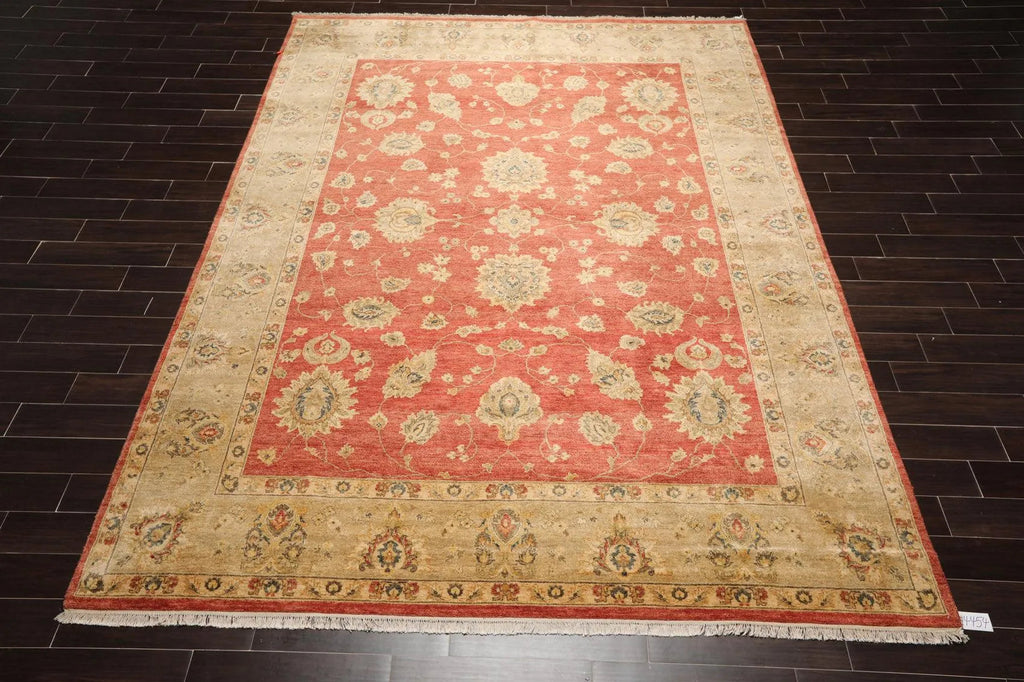 9'1'' x 12' Hand Knotted Wool Vegetable dyes Peshawar Oriental Area Rug Coral