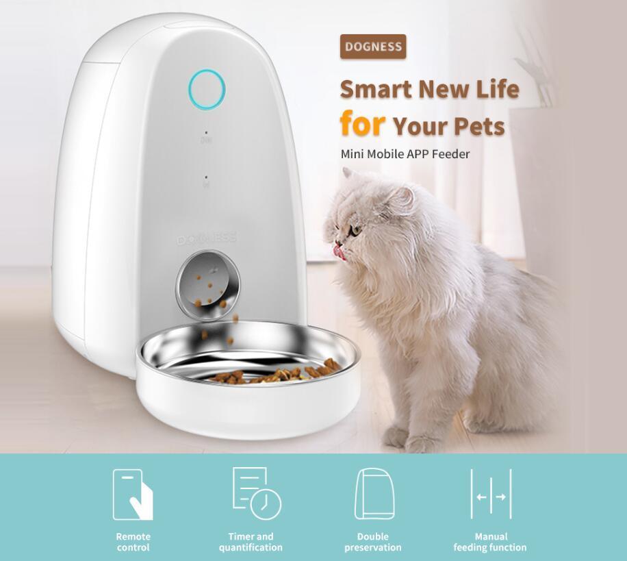 Happy pet eating from SmartPaws 2L Automatic Pet Feeder