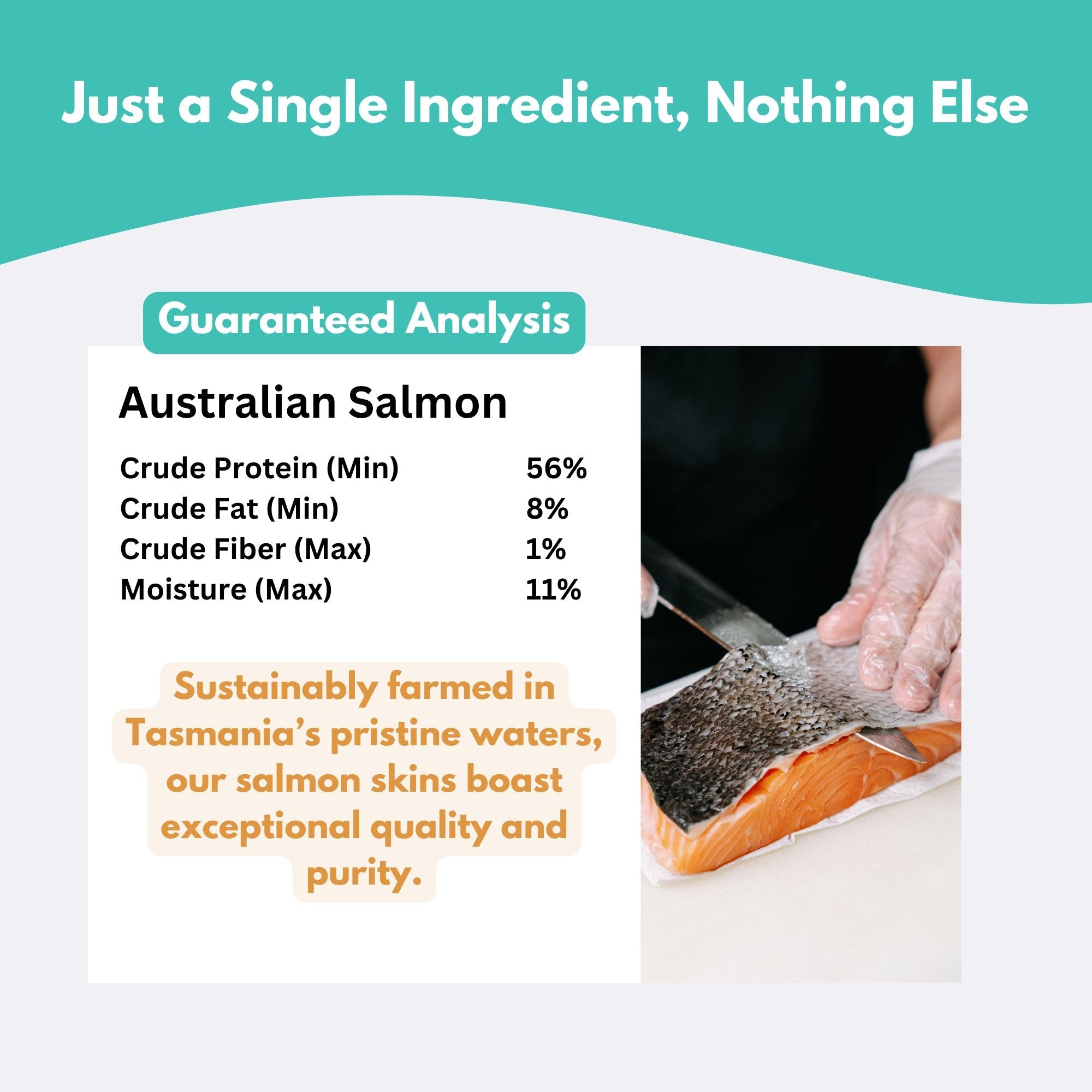 Alfie's Treatos Premium Salmon Skin Treats showcasing their crispy texture