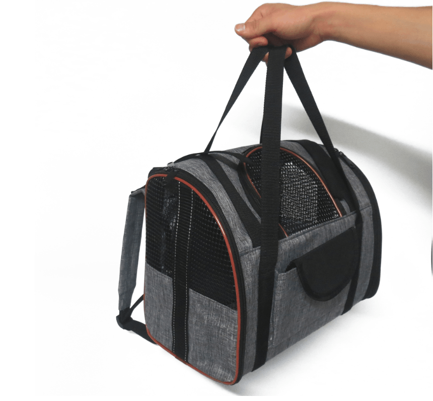 Pet Voyage Travel Bag displayed in stylish outdoor setting