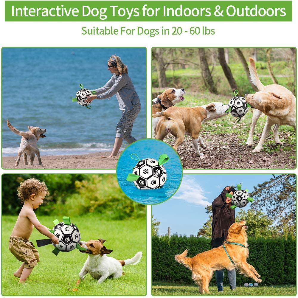 Happy dog fetching the Interactive Durable Dog Soccer Ball