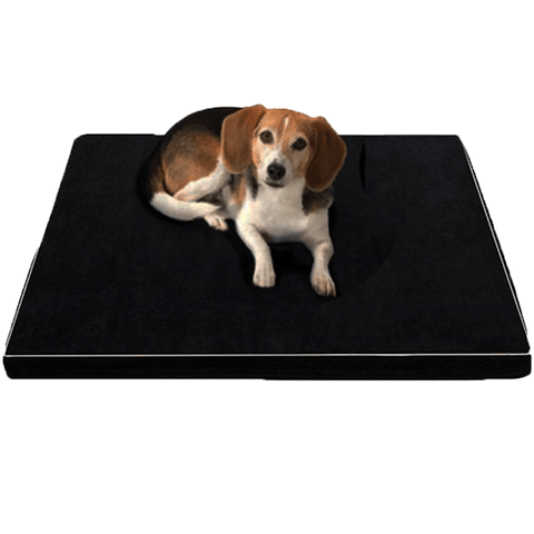 Close-up of Arthur Memory Foam Bed texture, perfect for large dog comfort