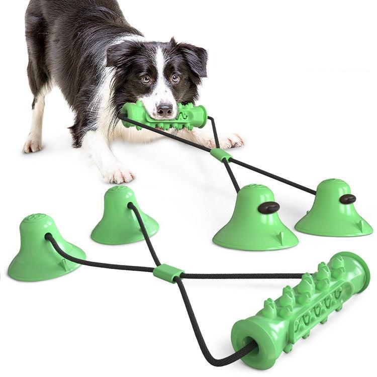 Dog playing with Interactive Dental Molar Toy in a vibrant setting
