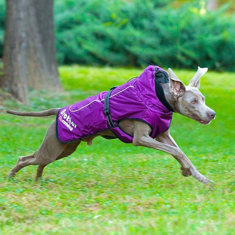 Front view of Waterproof Reflective Nylon Pet Raincoat in vibrant color by Dog Hugs Cat