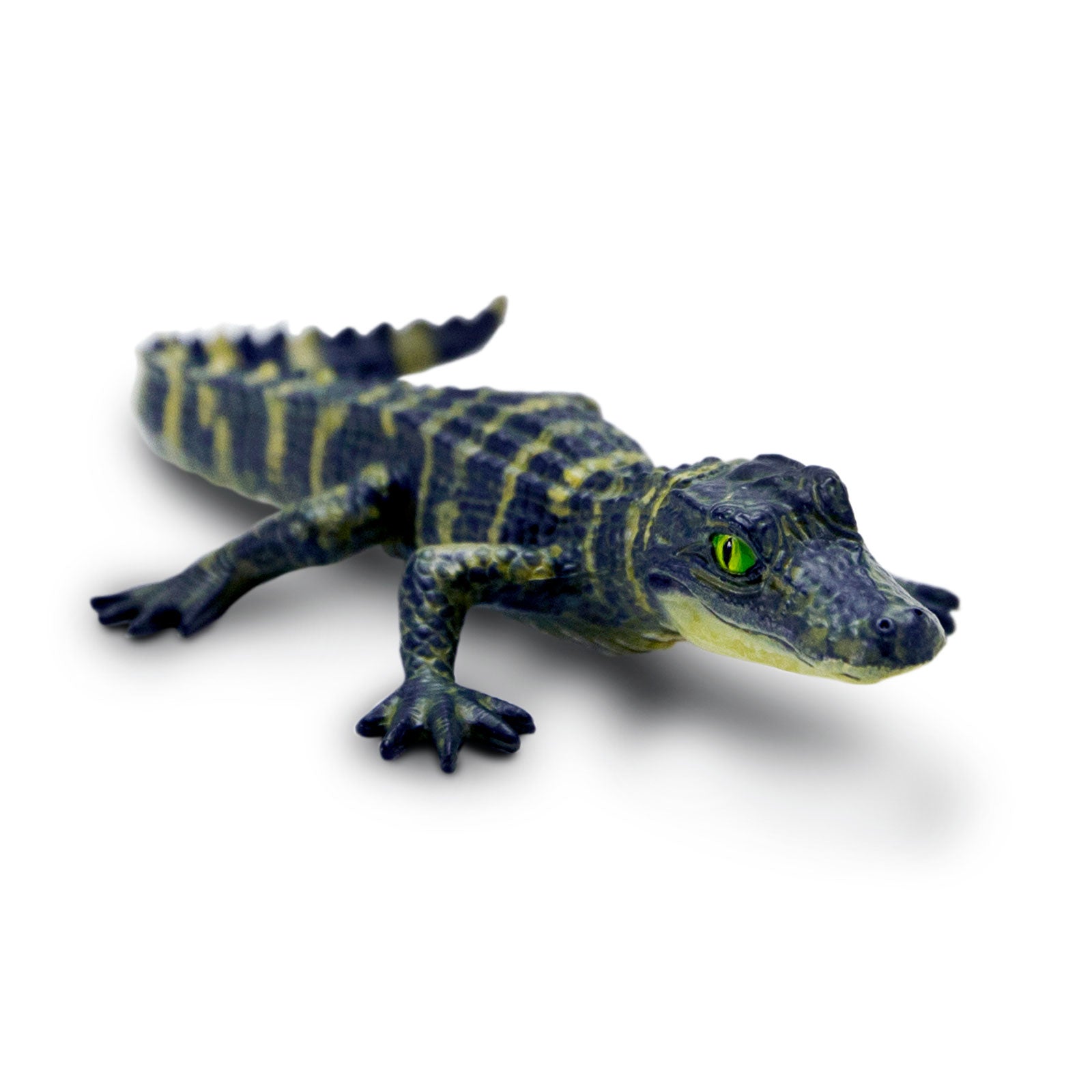Child playing with Lifelike Baby Alligator Figure from Safari Ltd