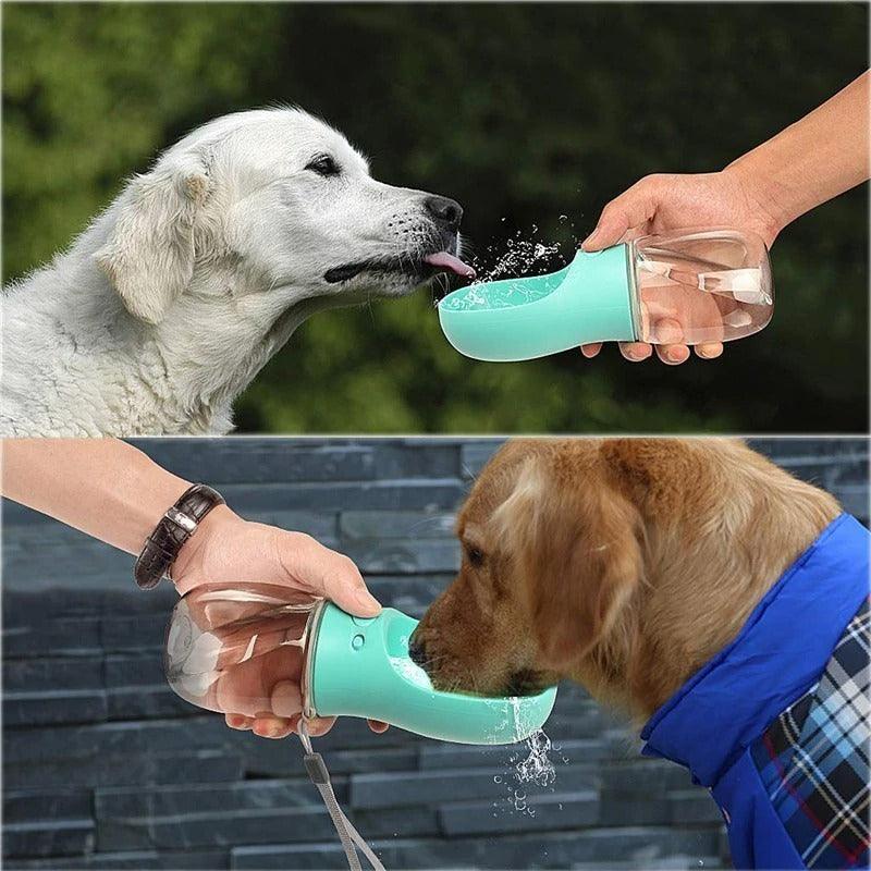 Pet Water Bottle in use during a hike with a dog