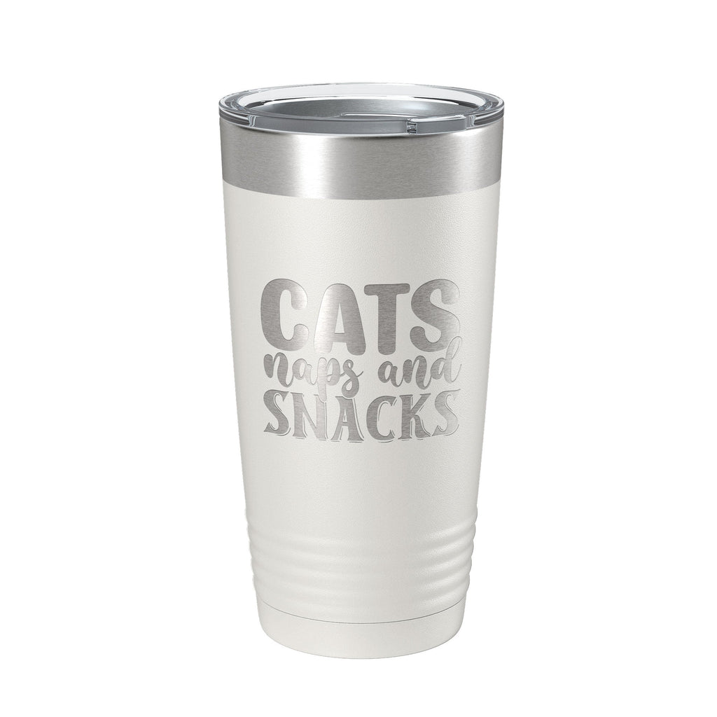 Hilarious Cat Lover Insulated Mug displayed on a kitchen shelf
