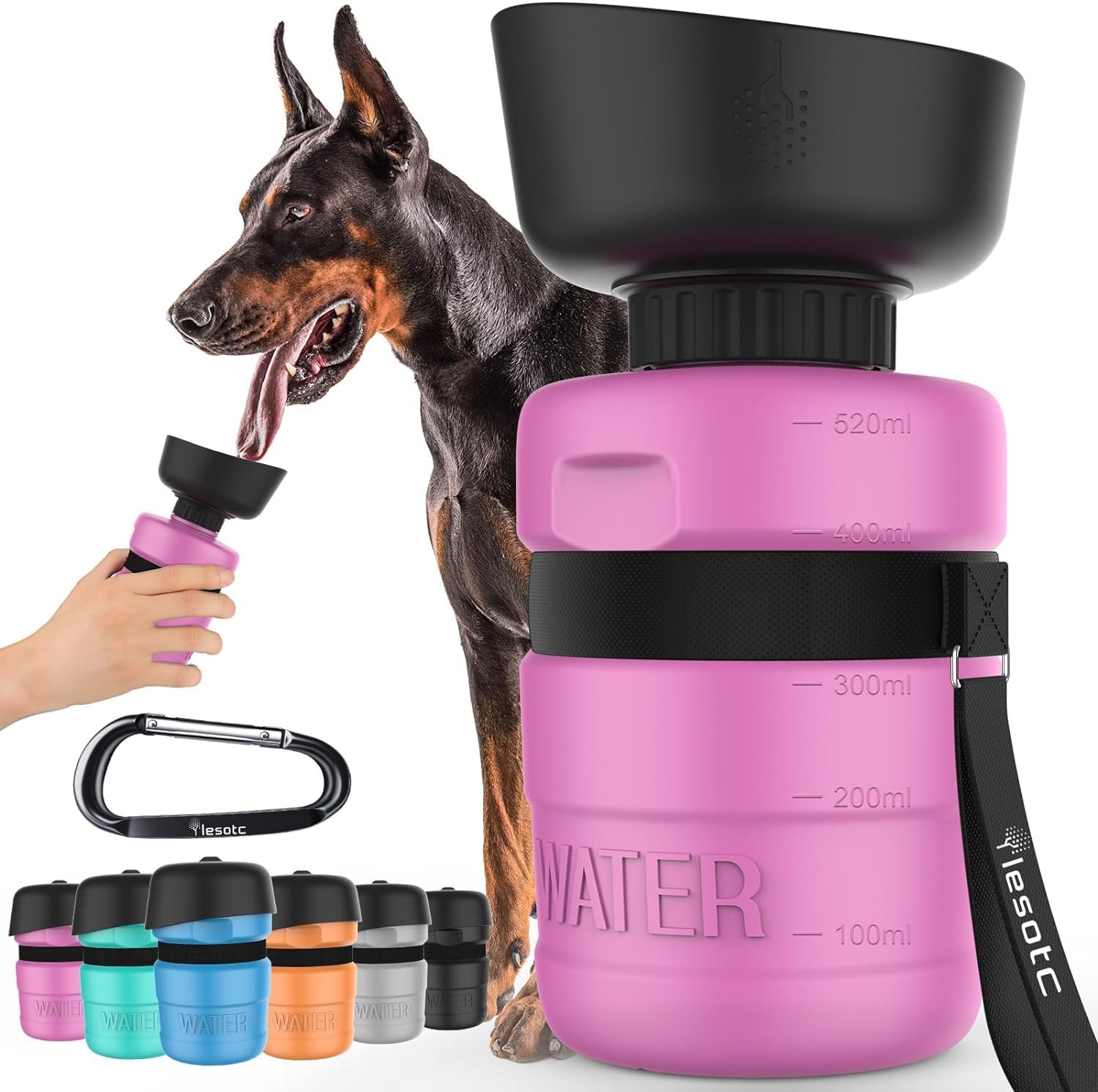 Group of pet accessories including Foldable Dog Water Bottle