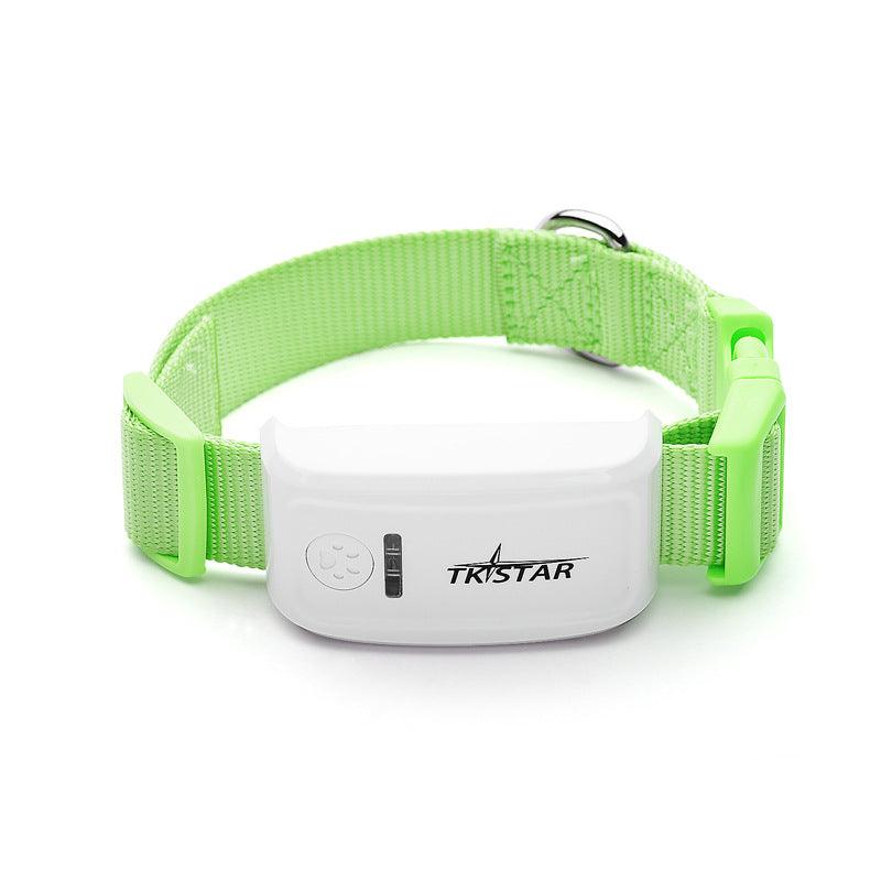 PetTrack GPS attached to a collar on a playful cat by Dog Hugs Cat