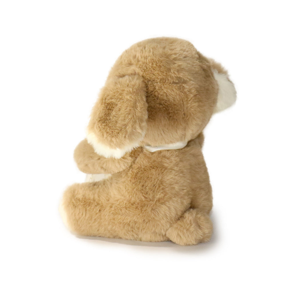 Side view showcasing the ribbon and message on Just For You Dog Plush Toy