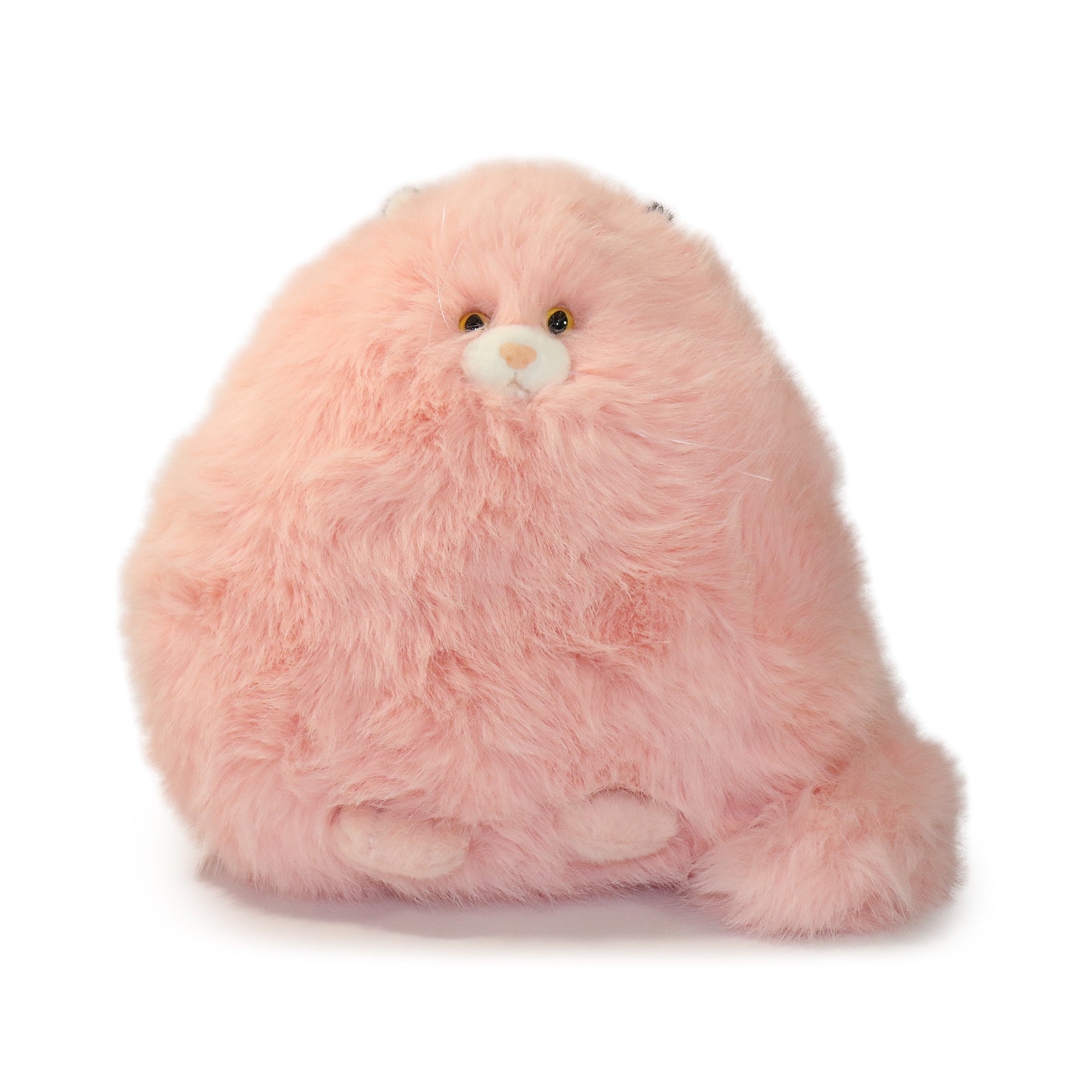 Close-up of the Cozy Marshmallow Cat Plush Toy's adorable face