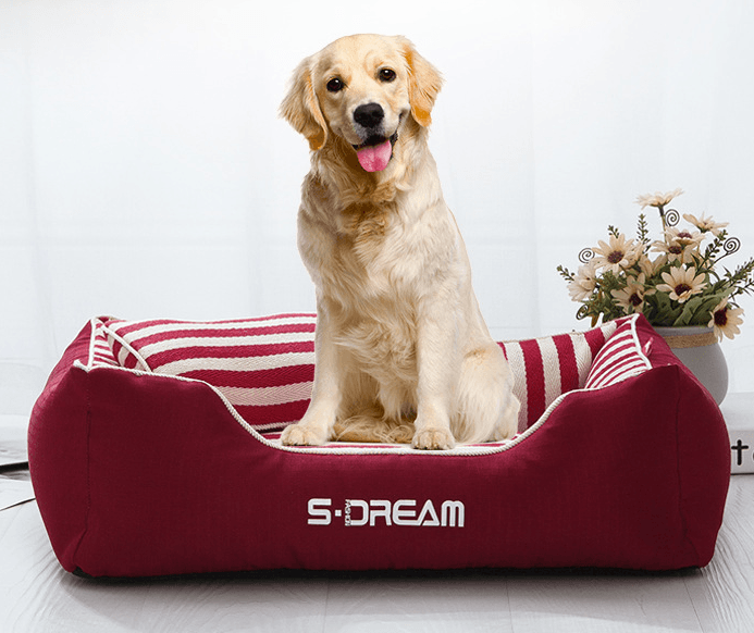 Luxury Washable Pet Bed for Cats & Dogs showcasing plush material