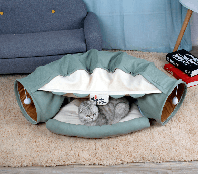 Feline Funhouse Cat Tunnel set up in a cozy living room environment