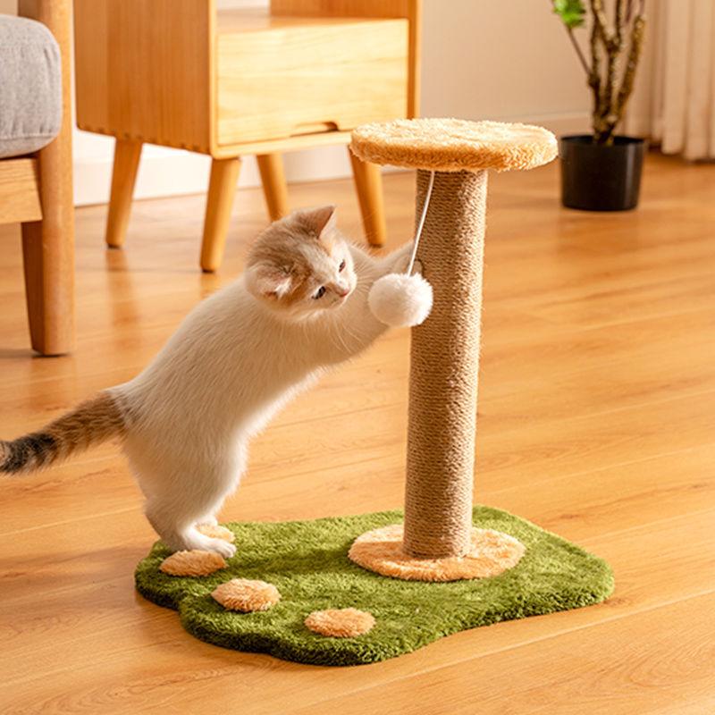 Durable Vertical Cat Scratcher in home setting by Dog Hugs Cat