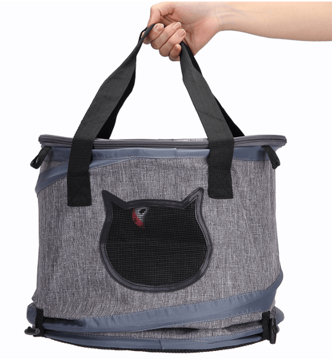 Interior view of Ultimate Foldable Pet Carrier with padded support