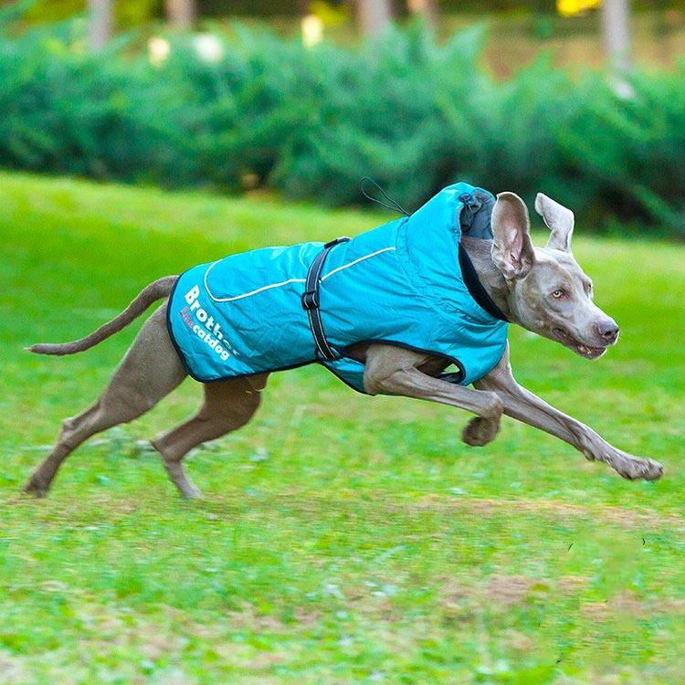 Reflective details on the Waterproof Pet Raincoat for enhanced visibility at night