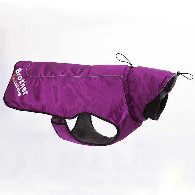Pet wearing Waterproof Reflective Nylon Raincoat enjoying a walk in the rain