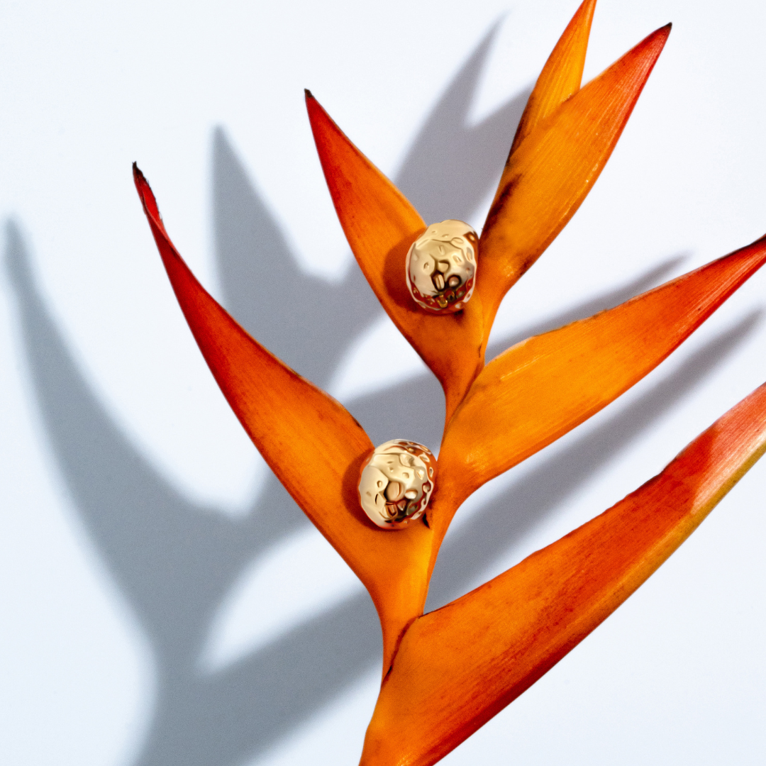 Collins Gold Earrings