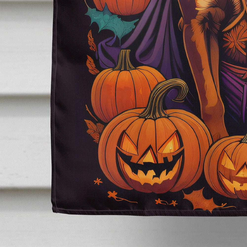 Boxer Halloween House Flag displayed in a garden setting