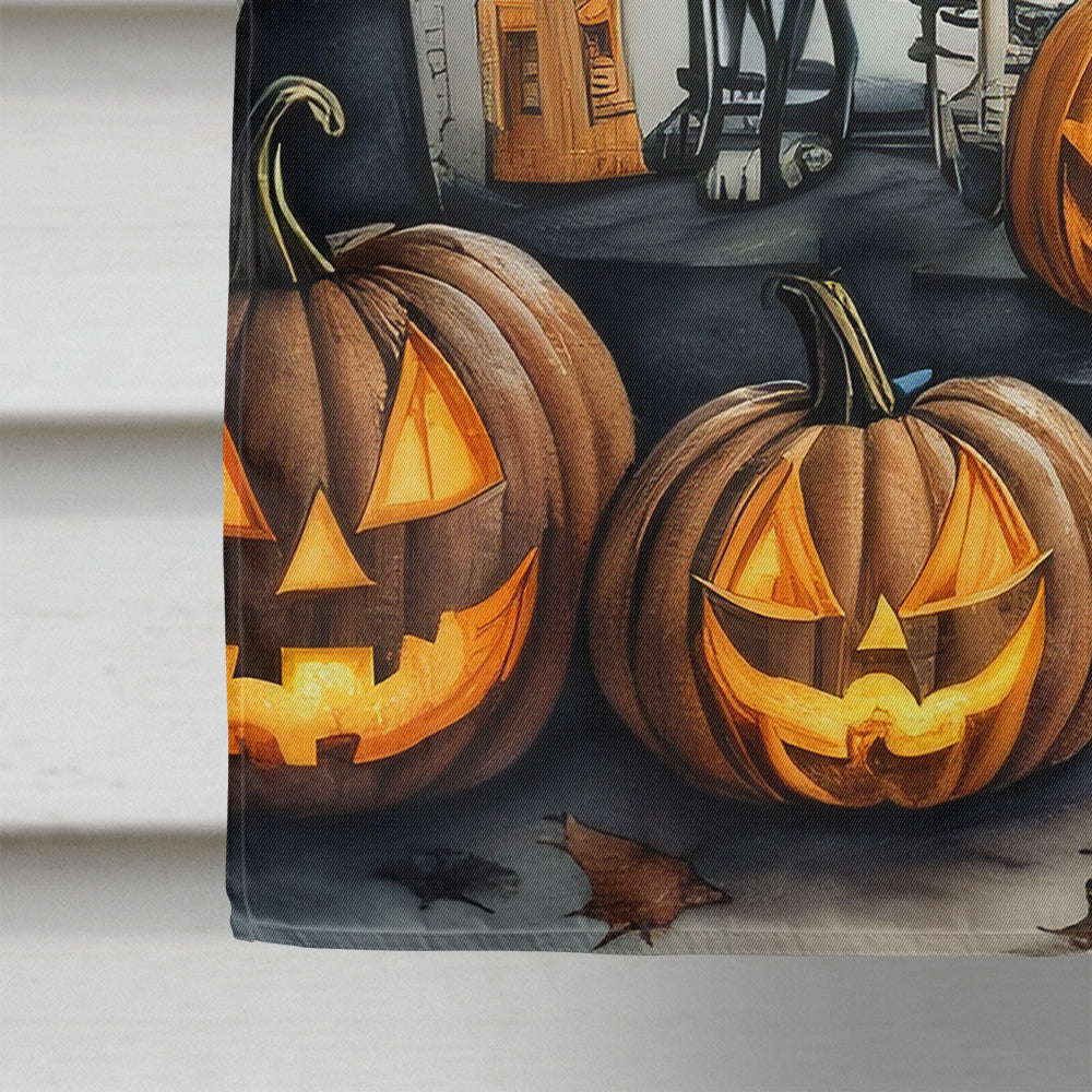 Pet Cemetery Spooky Halloween House Flag