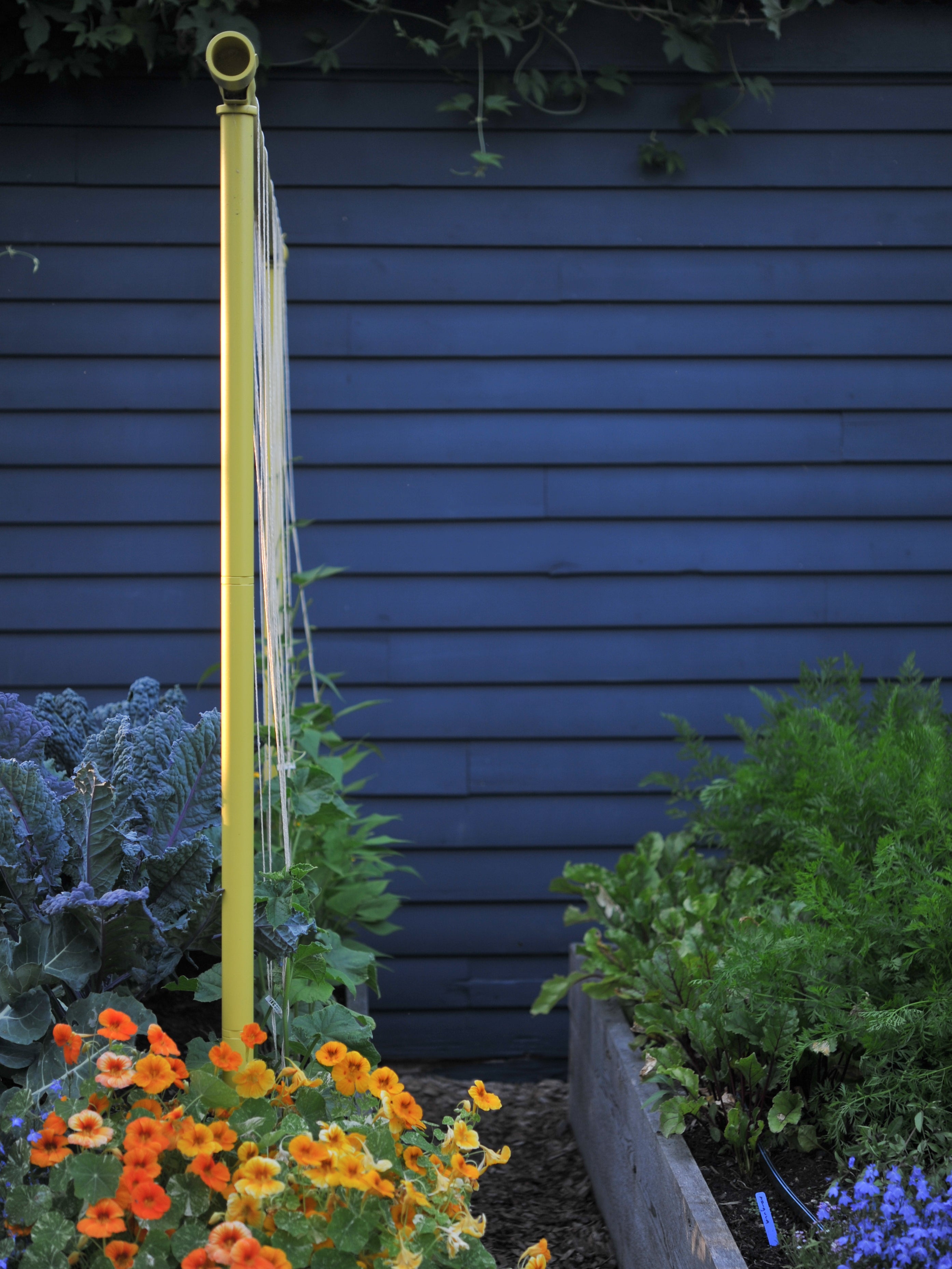 Adjustable Freyr Garden Trellis supporting climbing plants