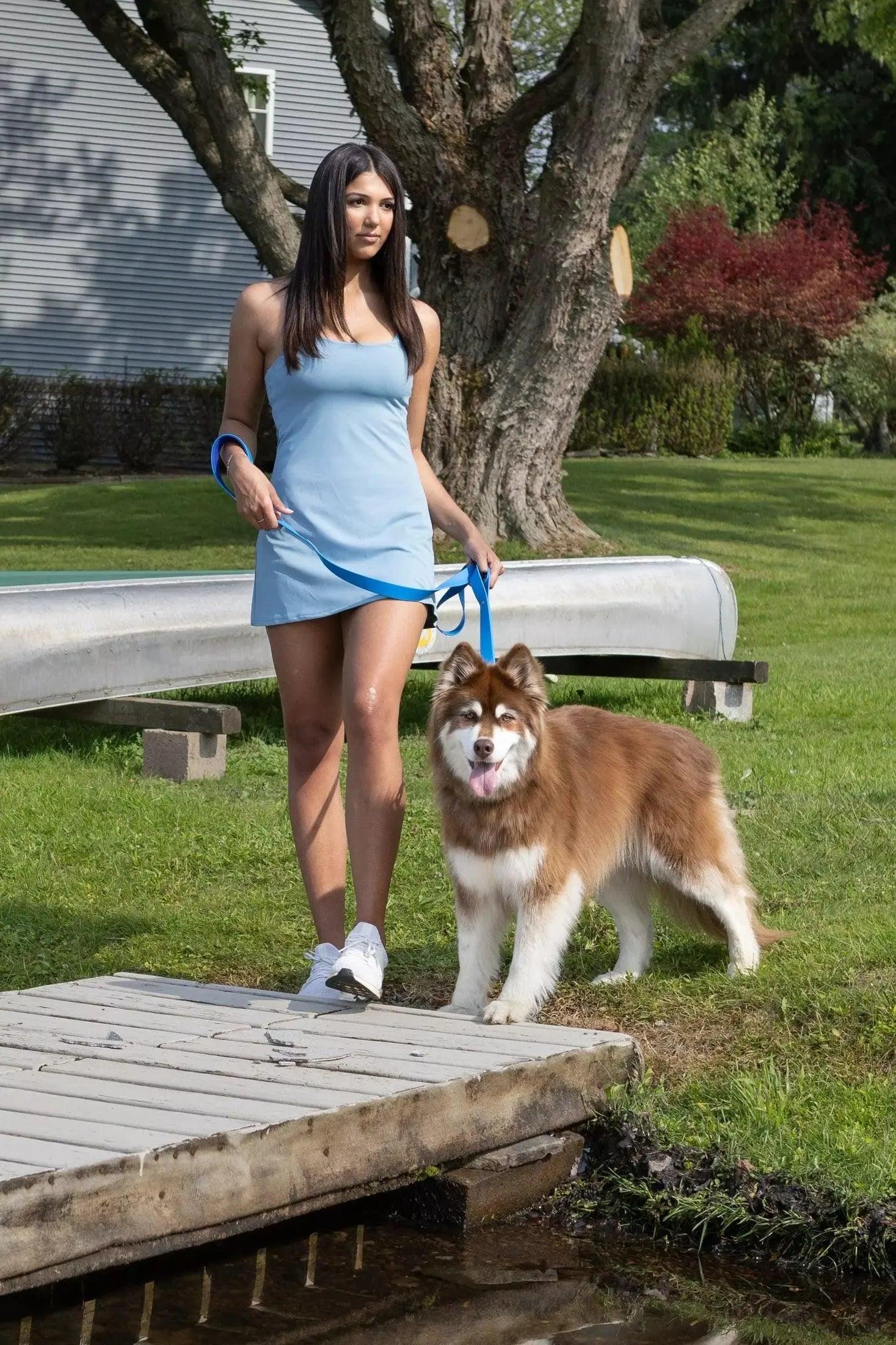 Dog wearing Dockside Adventures Waterproof Collar during an outdoor adventure