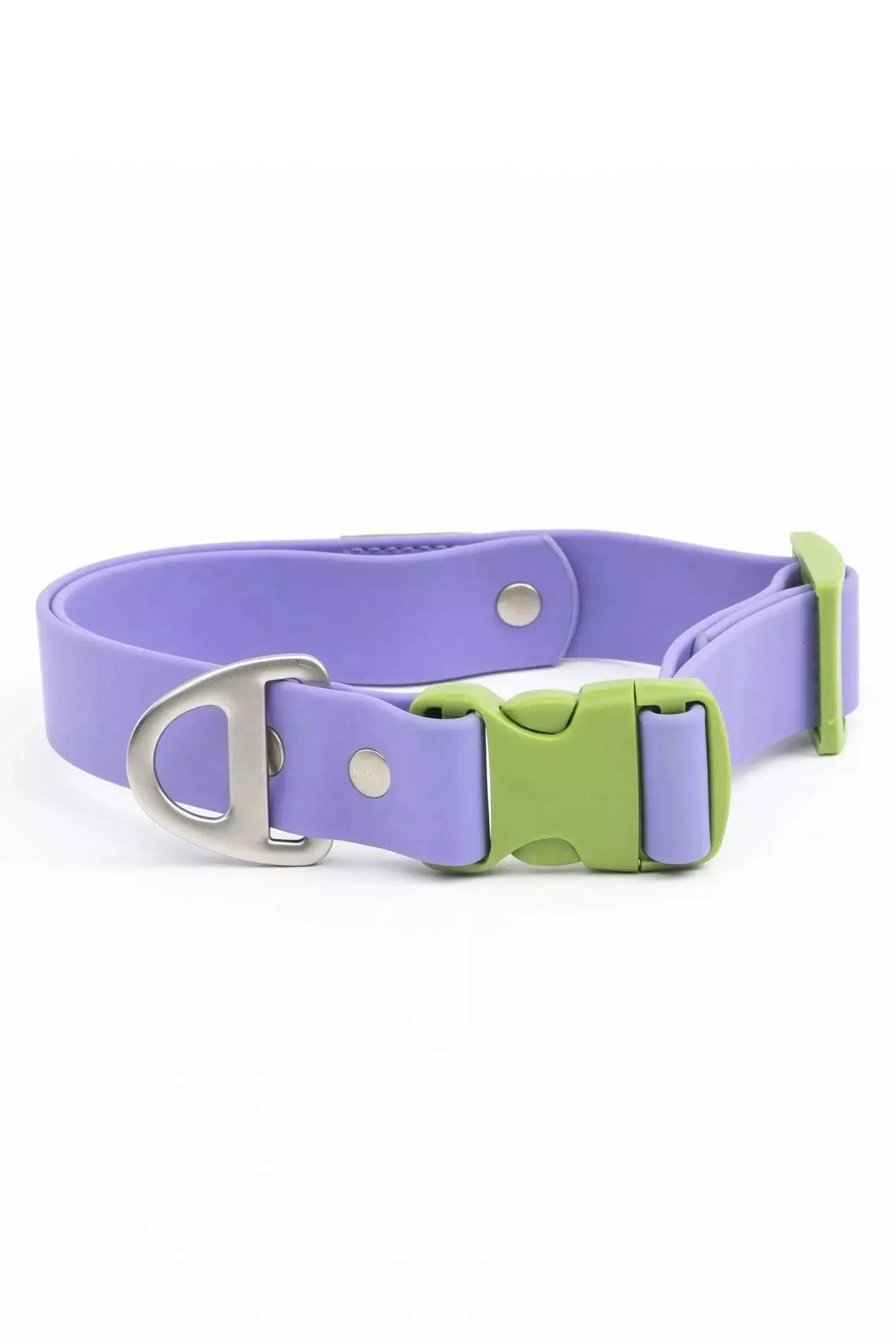 Lavender Garden Waterproof Dog Collar displayed against a floral background