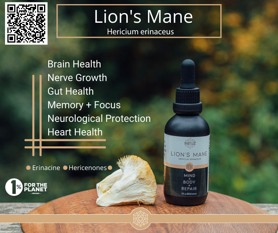 Brain Health Function + Protection + Memory +  Focus Pairing