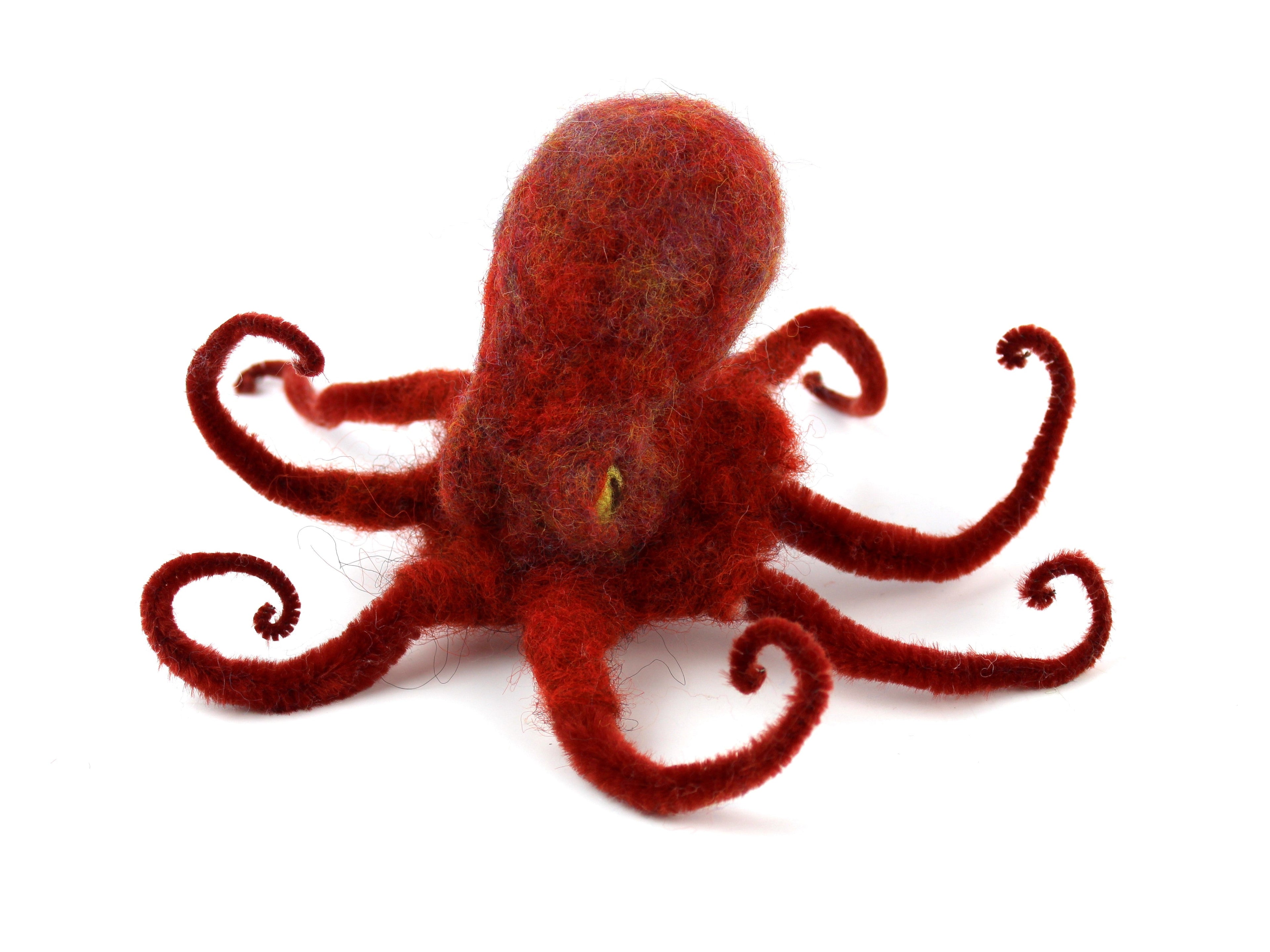 Step-by-step instructions included in the DIY Octopus Felting Kit