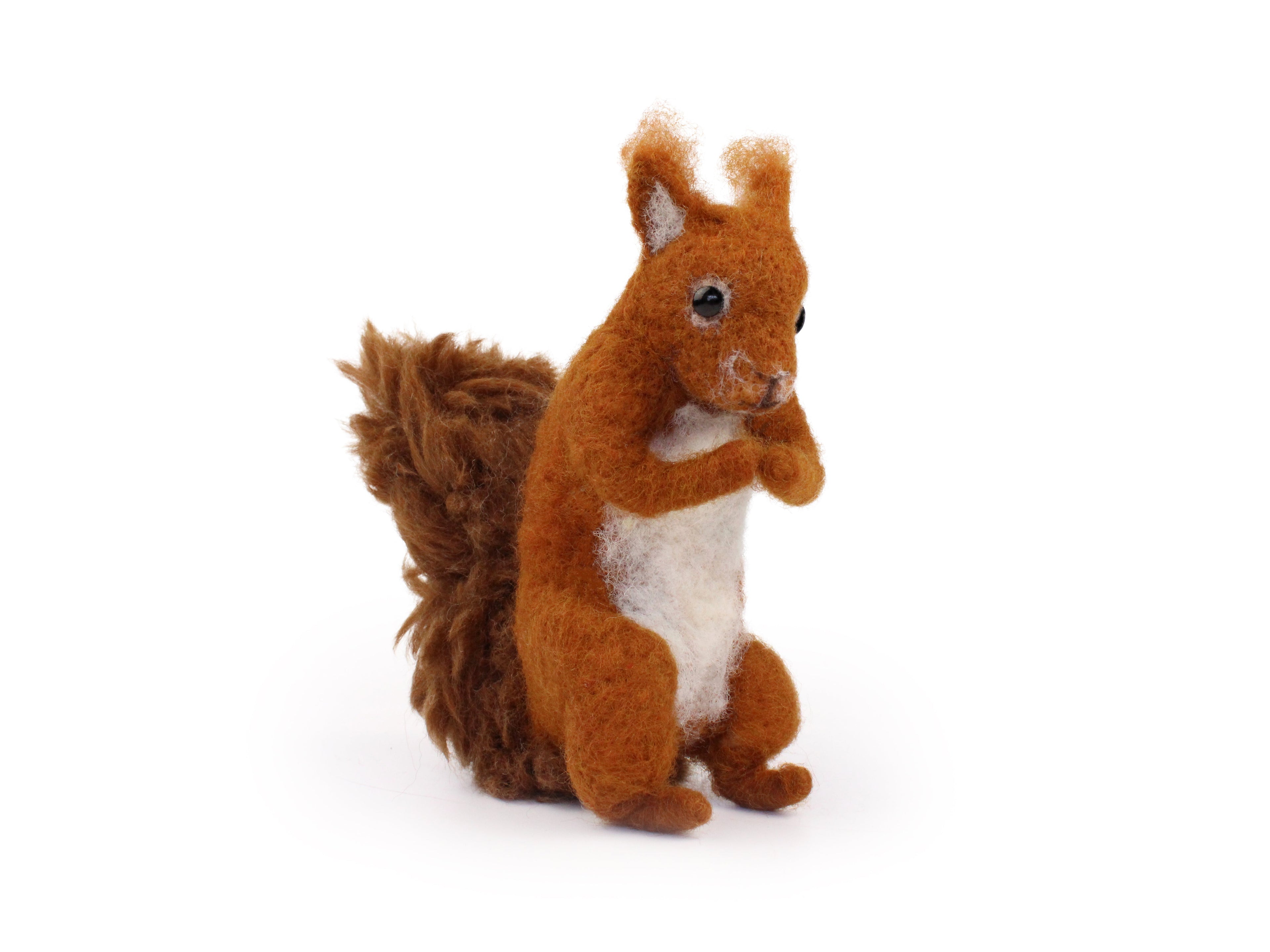 Contents of the Red Squirrel Needle Felting Kit including wool and tools