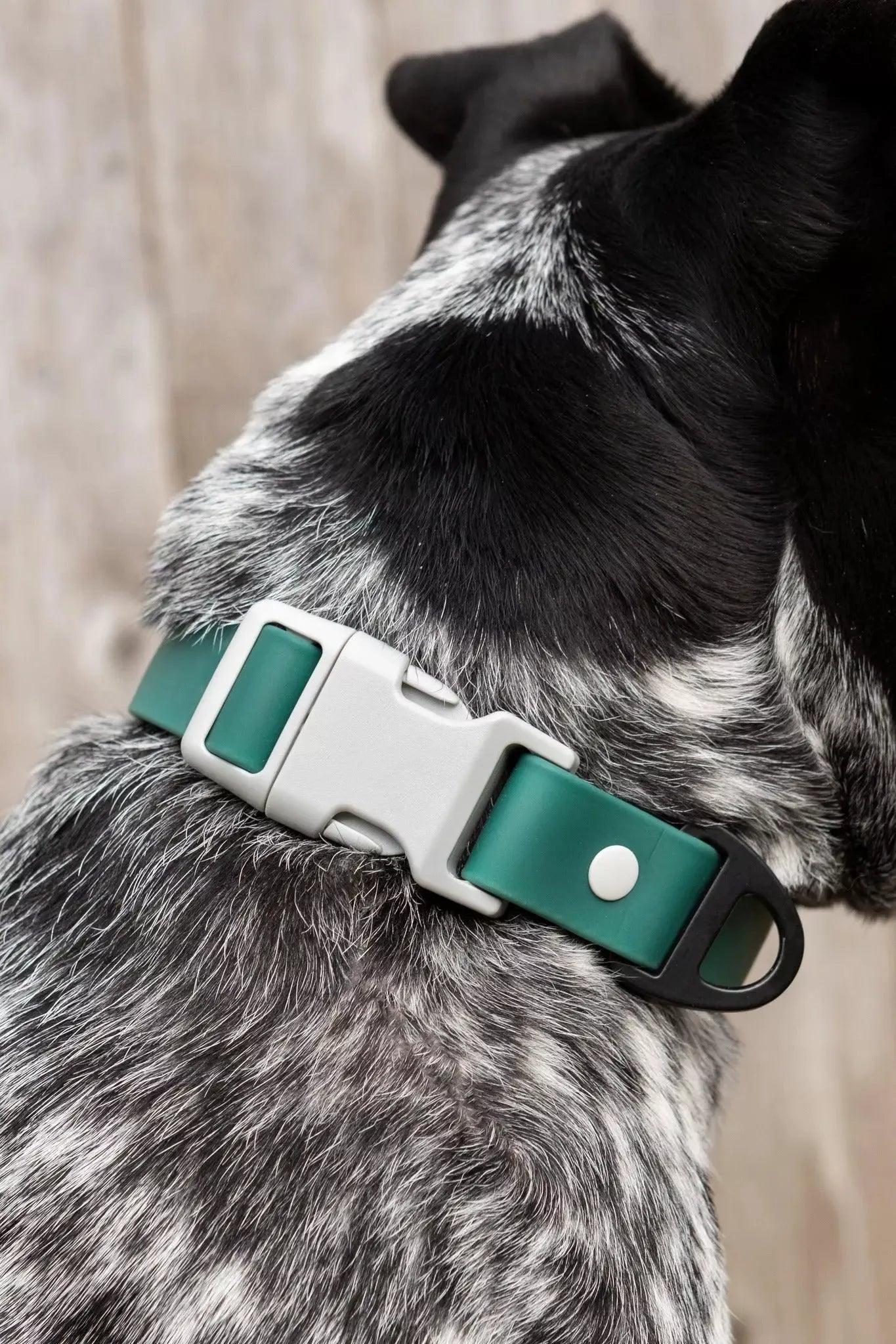 Close-up of the durable fabric on Siberian Spruce Dog Collar
