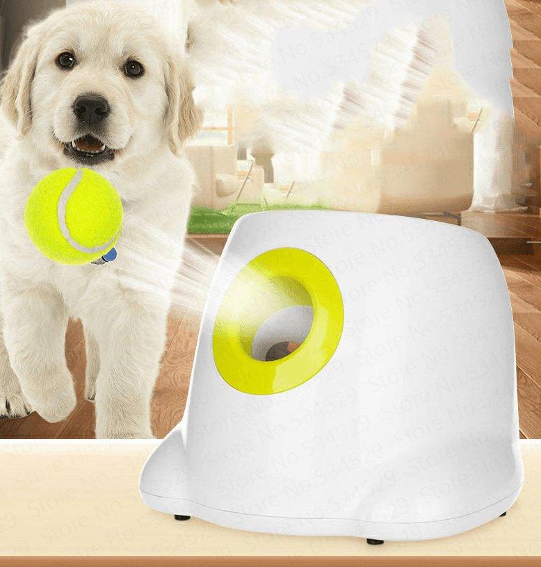 Front view of Interactive Automatic Dog Ball Launcher by Dog Hugs Cat