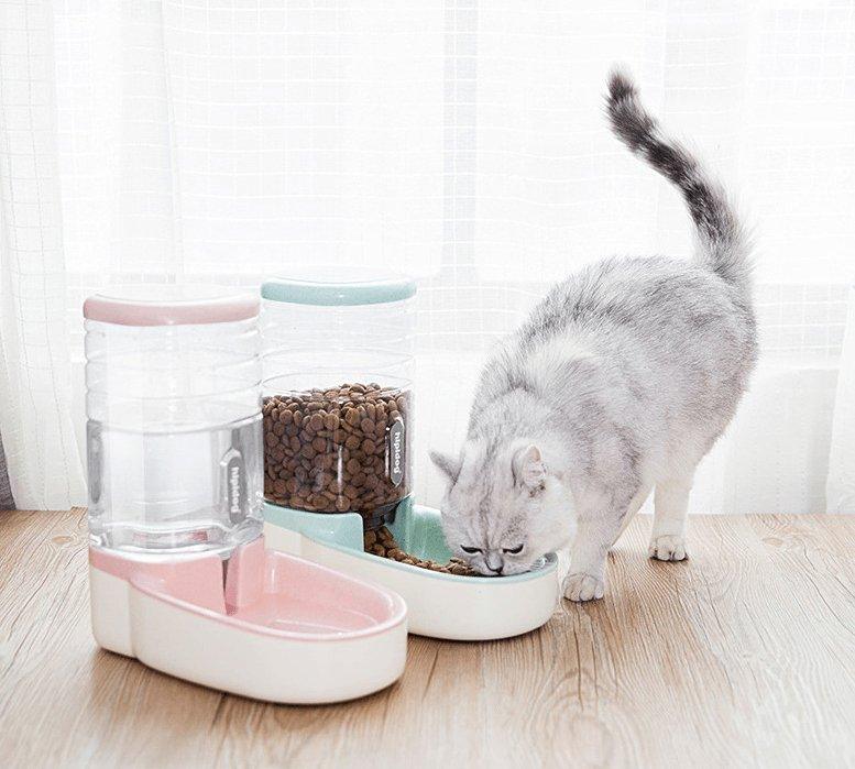 Multi-pet household enjoying Smart Automatic Pet Feeder & Water Fountain
