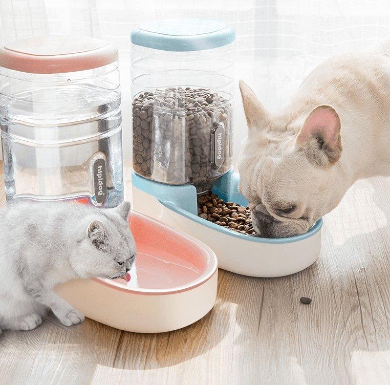 Front view of Smart Automatic Pet Feeder & Water Fountain by Dog Hugs Cat