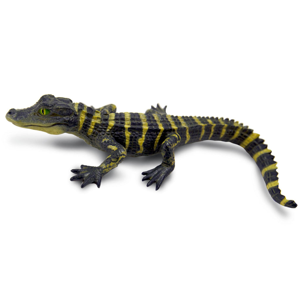 Top view of Lifelike Baby Alligator Figure in realistic design