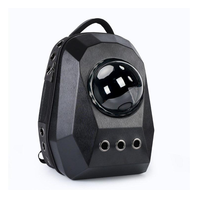 Wanderlust Pet Adventure Backpack displayed on a hiking path