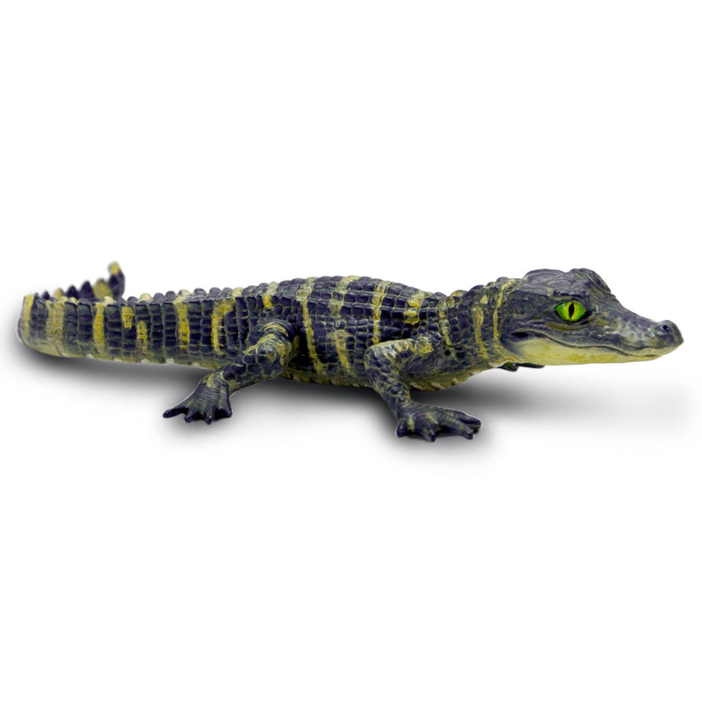 Front view of Lifelike Baby Alligator Figure by Safari Ltd