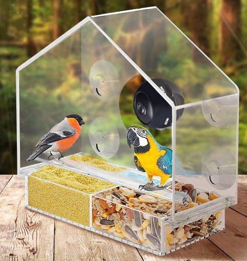 Triangular Smart Bird Feeder with Live Camera by Dog Hugs Cat in garden