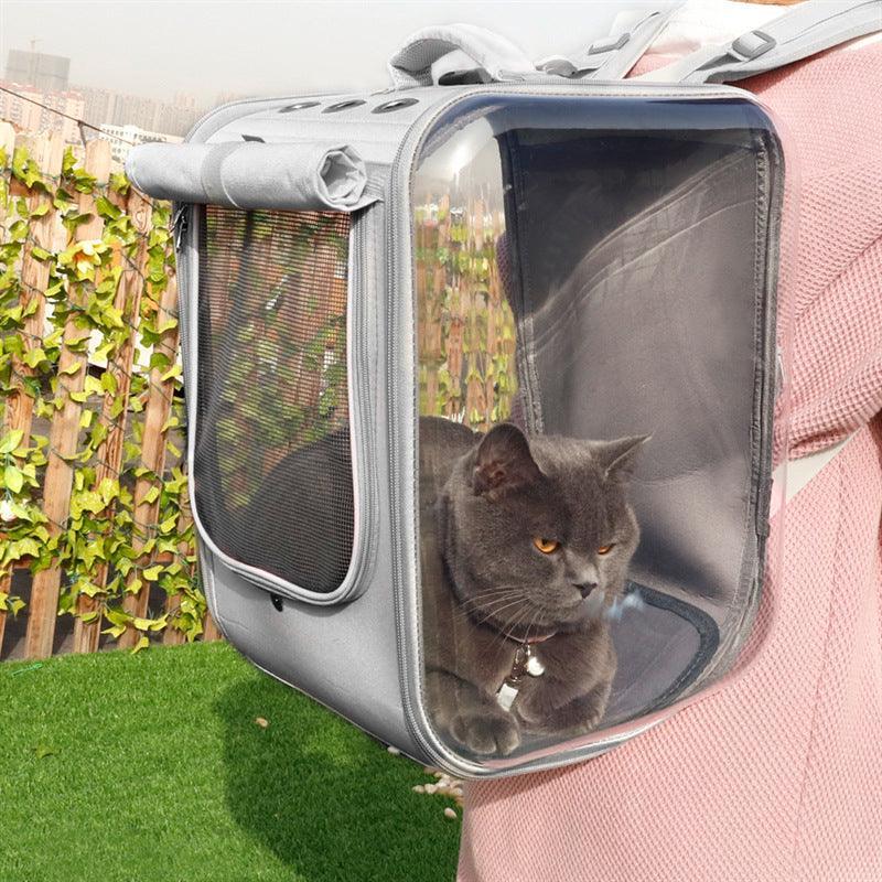 Bubble Cat Carrier Backpack with pet inside enjoying a panoramic view