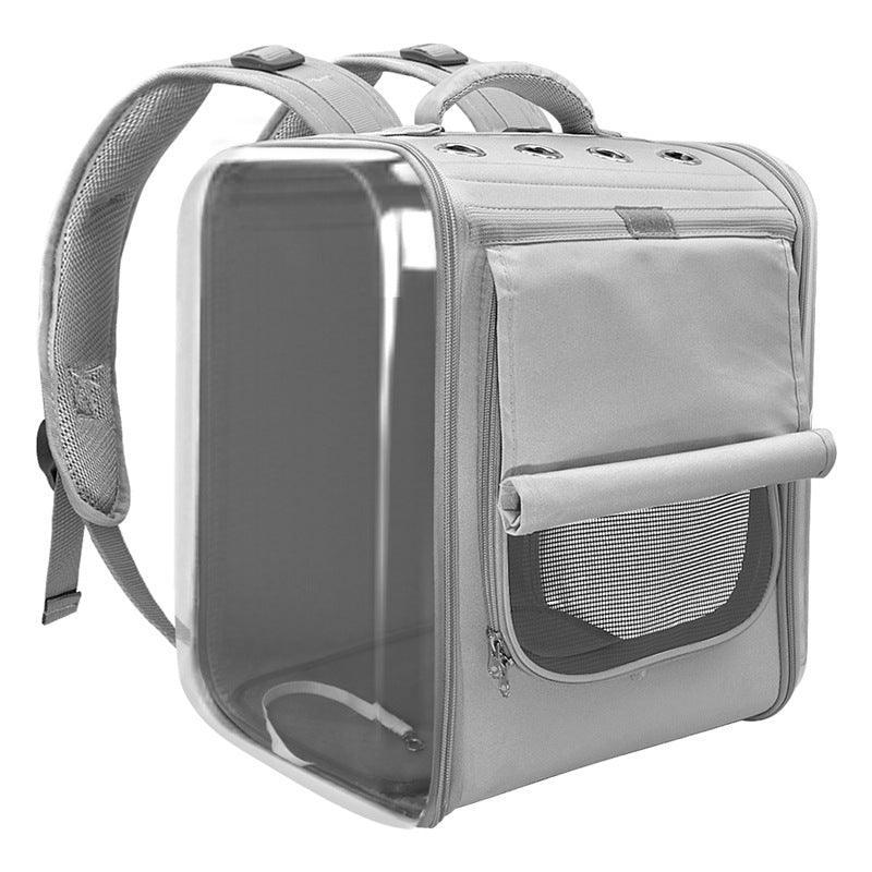 Stylish Bubble Cat Carrier Backpack on a scenic outdoor adventure