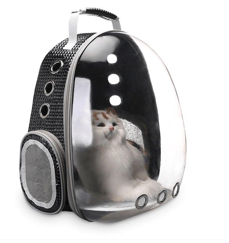 Pet inside Bubble Pet Backpack looking through bubble window