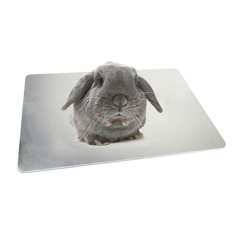 Top view of Ultimate Pet Cooling Plate in sleek aluminum design by Dog Hugs Cat