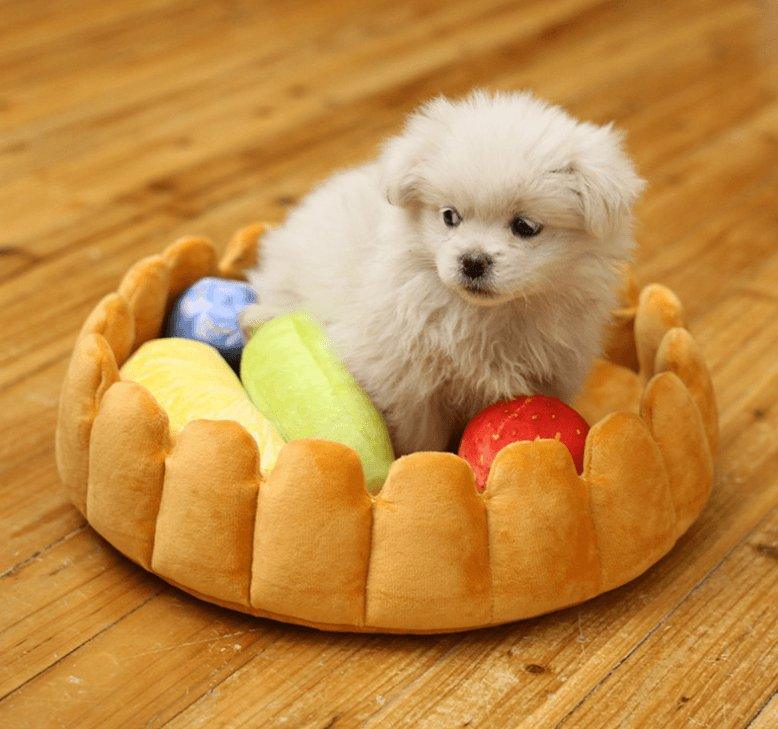Happy cat relaxing in Whimsical Fruit Tart Pet Bed designed for comfort