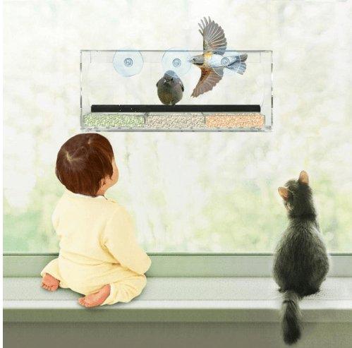 Close-up of the durable material used in Stylish Acrylic Pet Feeder